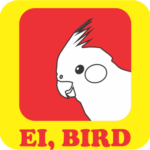 logotipo ei, bird calopsitas aves domésticas loja online